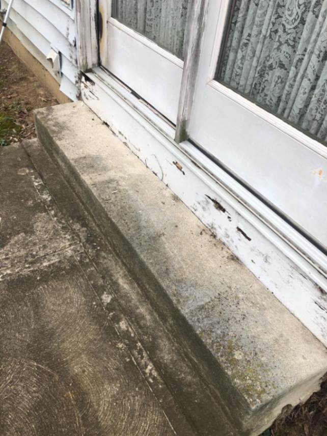 Termite Pest Control Columbus Ohio 5 termite damage