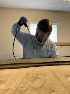 Bed Bug Pest Control Columbus Ohio 17 Bed Bug Treatment