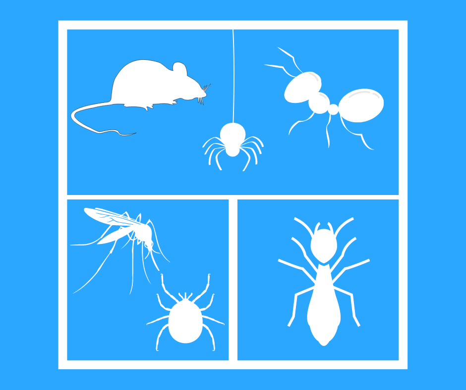 Pests in Ohio: Top 6 Summer Pests 1 pests covered in Elite Program