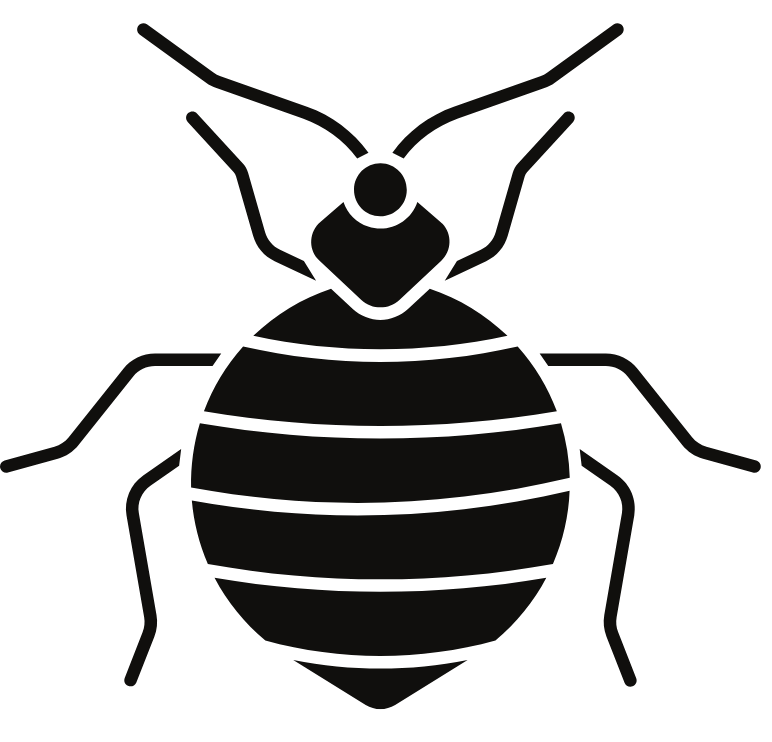 Homepage 4 bed bug