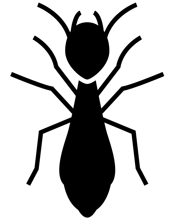 Homepage 5 termite