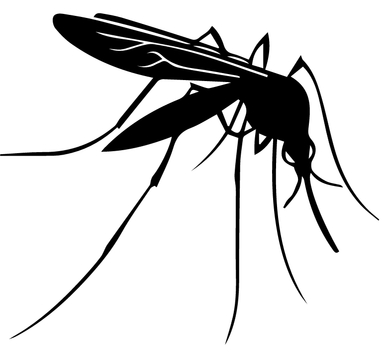 Homepage 7 mosquito